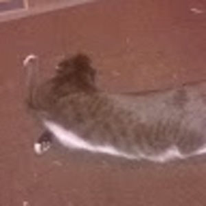 Meet your Posher, Jaden